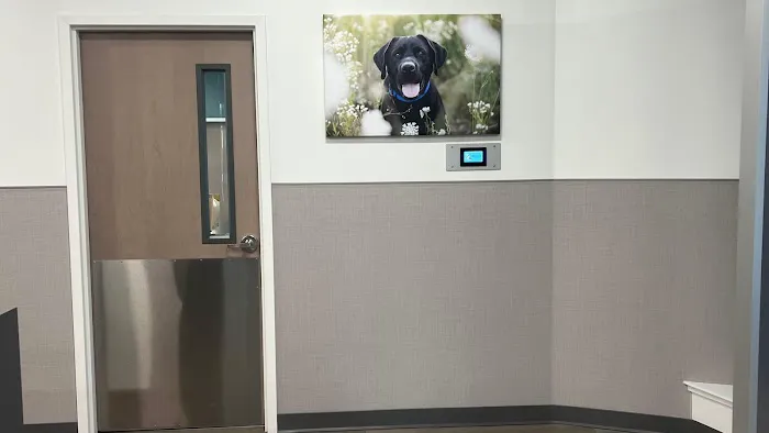 VCA Town Center Animal Hospital 4