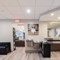 Harmony Animal Hospital ico