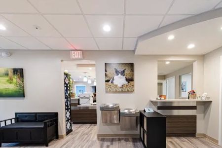 Harmony Animal Hospital