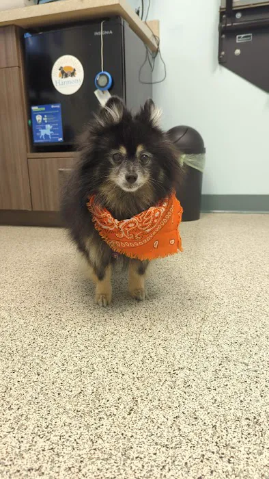 Harmony Animal Hospital 5