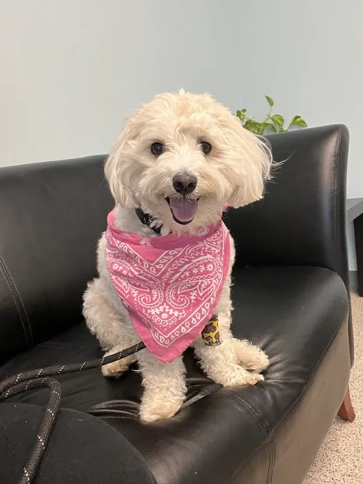Harmony Animal Hospital 6