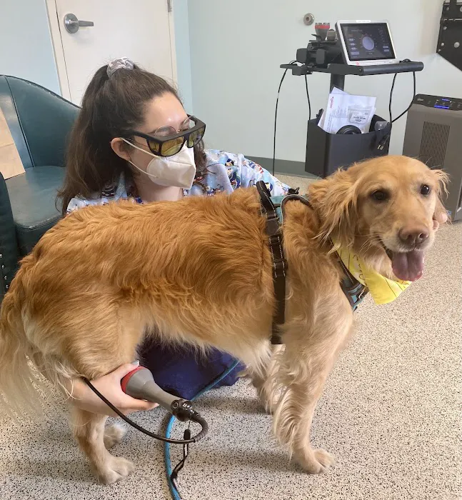 Harmony Animal Hospital 8