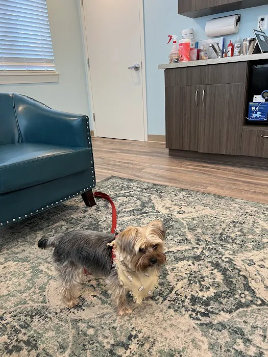 Harmony Animal Hospital 4