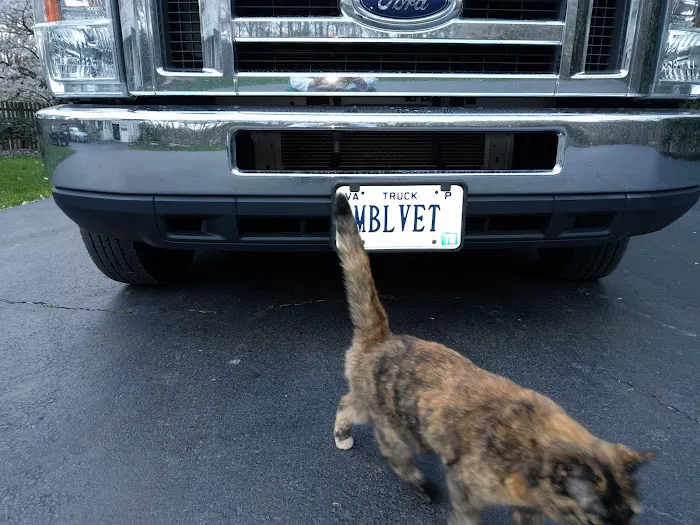 NoVa Mobile Vet 7