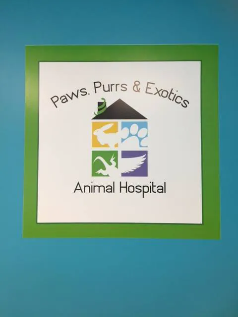 Paws Purrs & Exotics Animal Hospital 8