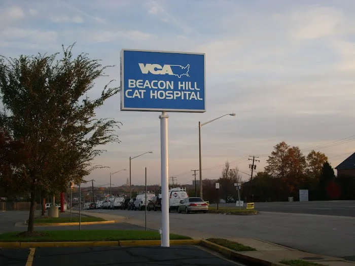 VCA Beacon Hill Cat Hospital 5