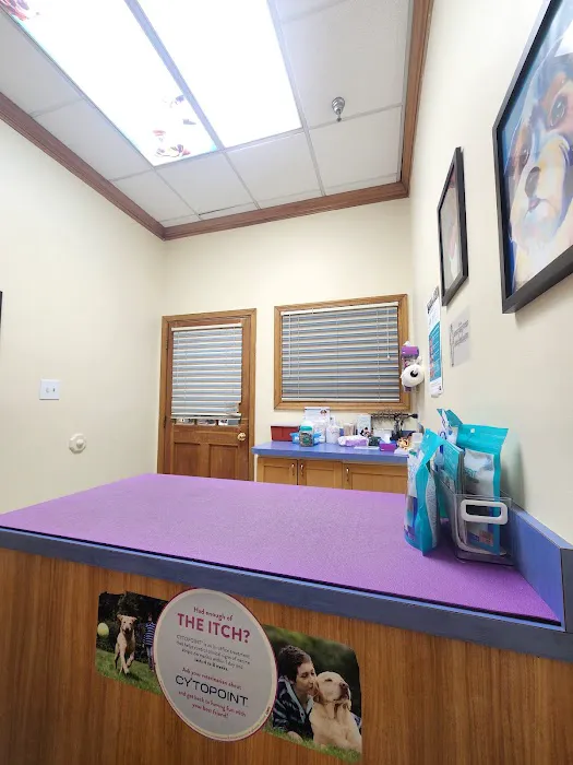 Companion Animal Hospital 4