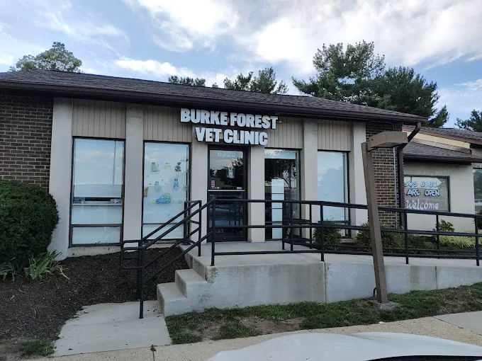 Burke Forest Veterinary Clinic 3