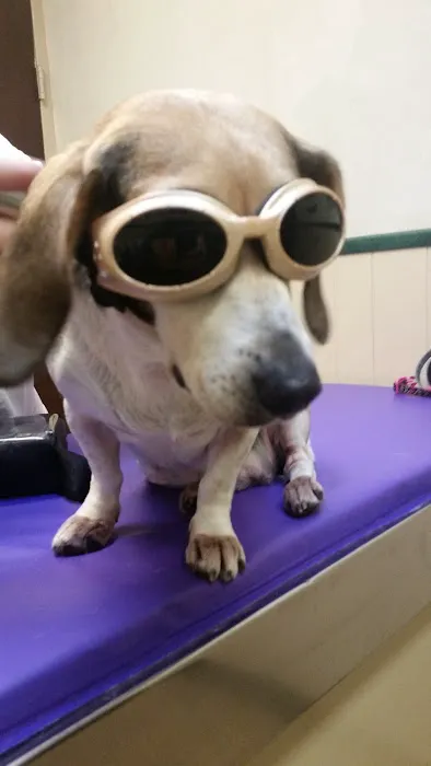 Mt Vernon Animal Hospital 3