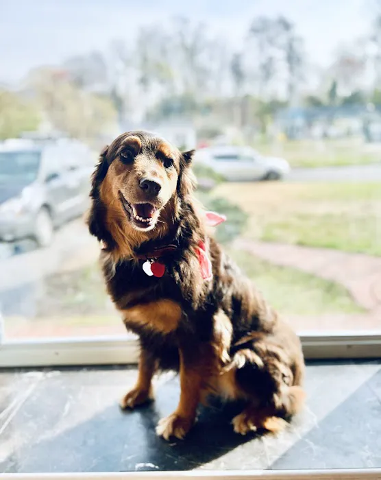 Hayfield Animal Hospital 12