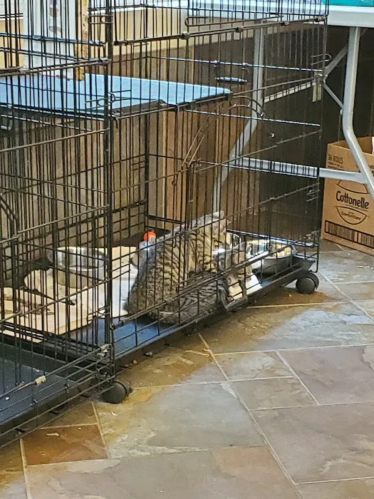 Hayfield Animal Hospital 12