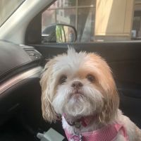 Hayfield Animal Hospital ico