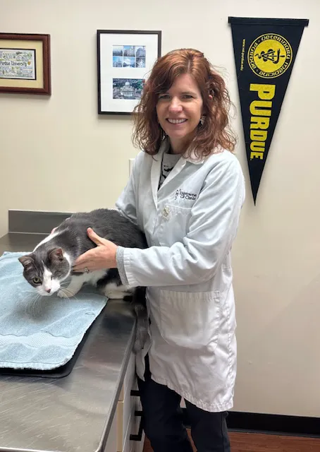 Kingstowne Cat Clinic 12