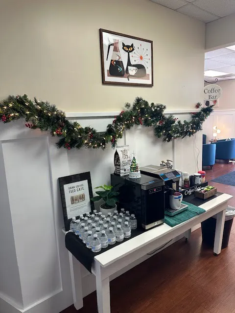 Kingstowne Cat Clinic 12