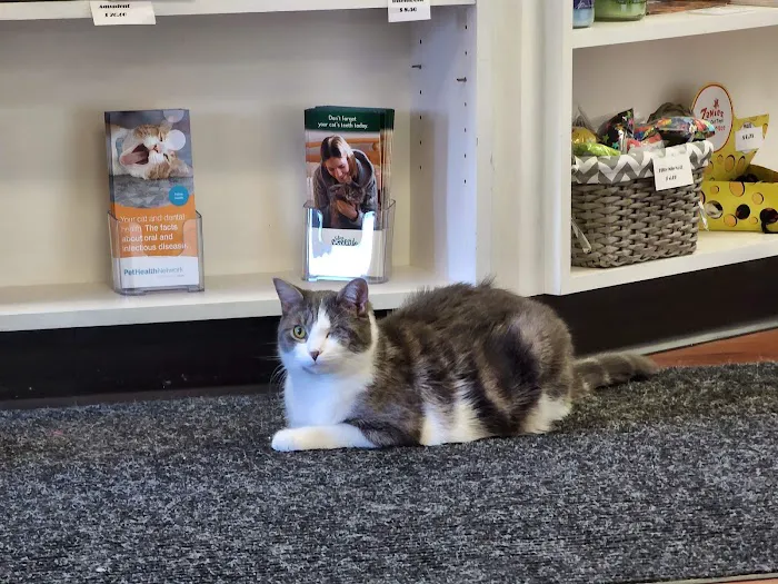 Kingstowne Cat Clinic 12