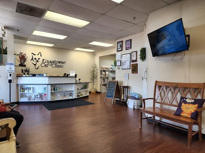 Kingstowne Cat Clinic 12