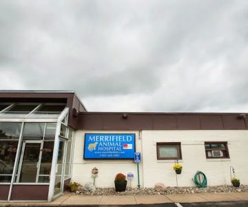 Merrifield Animal Hospital