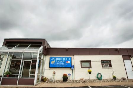 Merrifield Animal Hospital