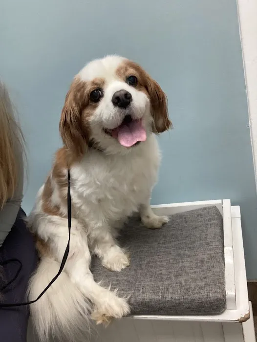 Burke Veterinary Clinic 12