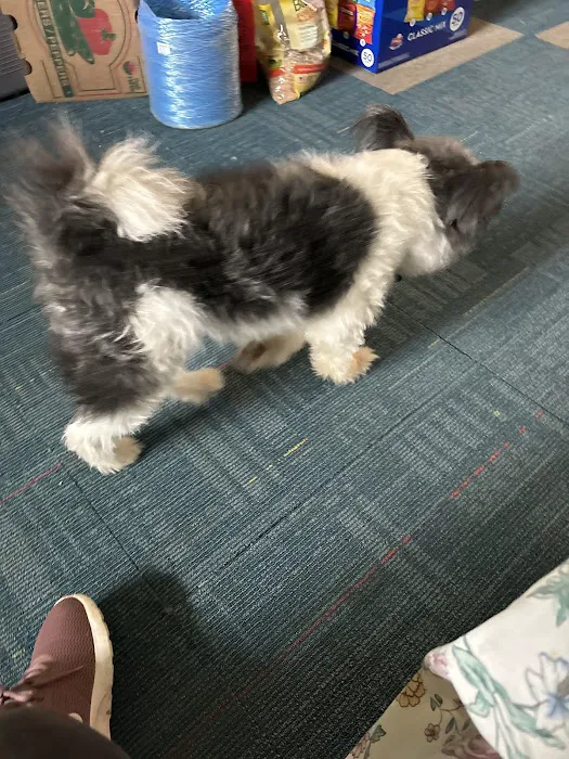 Banfield Pet Hospital 7