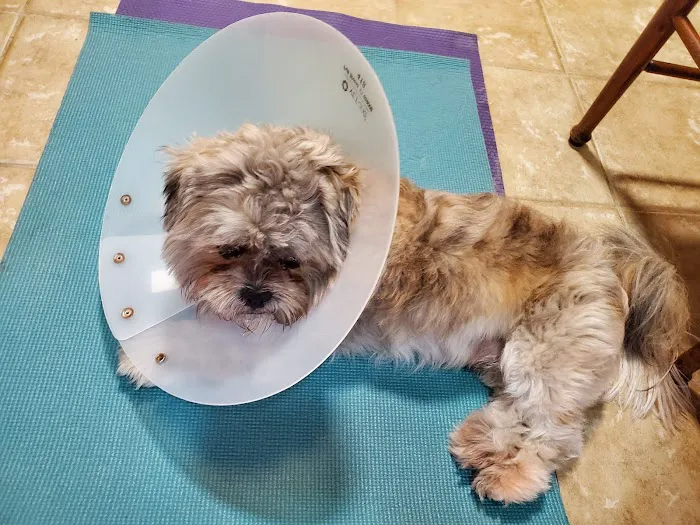 Banfield Pet Hospital 6