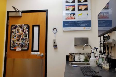 Banfield Pet Hospital
