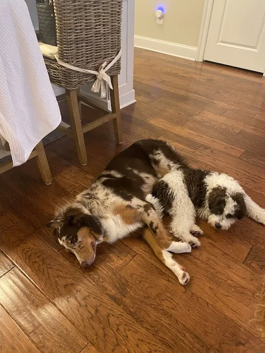 Woodley Gardens Veterinary Care 12