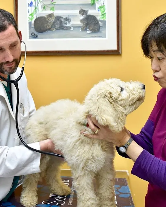 Woodley Gardens Veterinary Care 12
