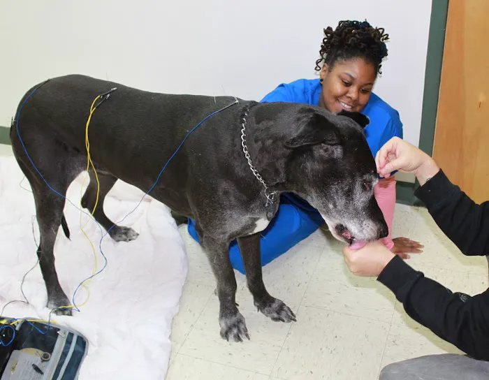 Woodley Gardens Veterinary Care 12