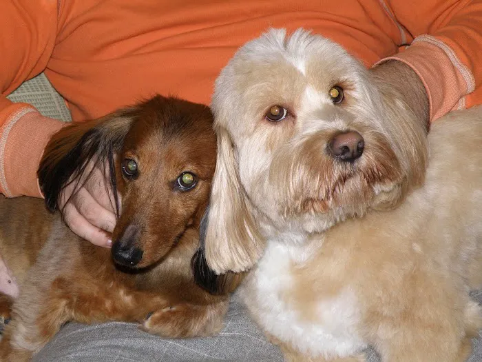 Parkway Veterinary Clinic 3