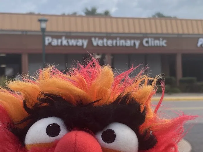 Parkway Veterinary Clinic 5
