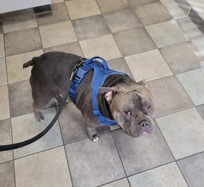 Parkway Veterinary Clinic 6