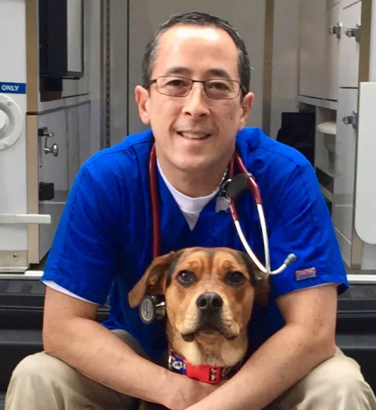 Vet In A Box - Mobile Veterinary Petcare 12