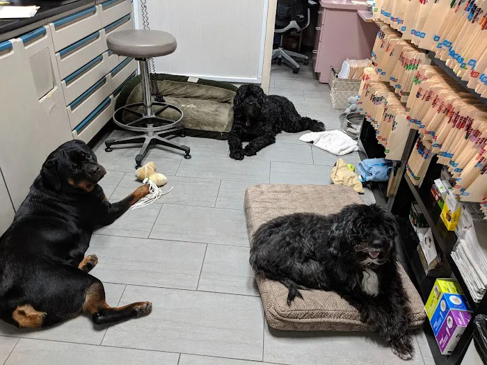 Prince George's Animal Hospital 10