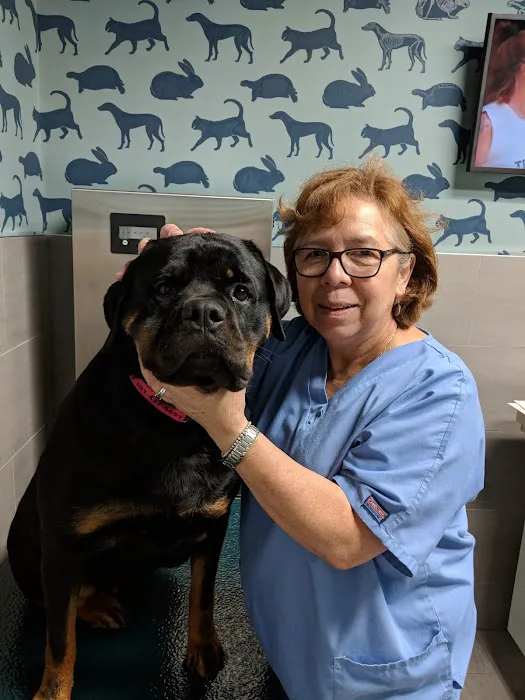 Prince George's Animal Hospital 3