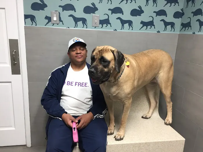 Prince George's Animal Hospital 2