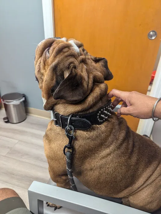 APAW Veterinary Hospital & Wellness Center 6