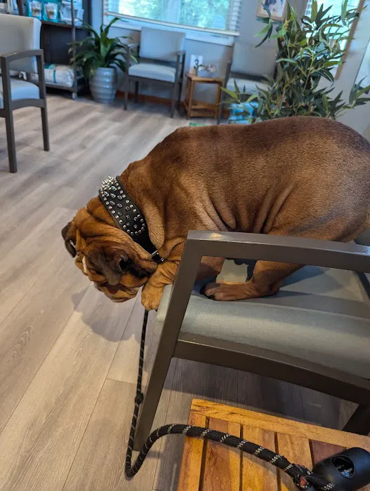 APAW Veterinary Hospital & Wellness Center 10