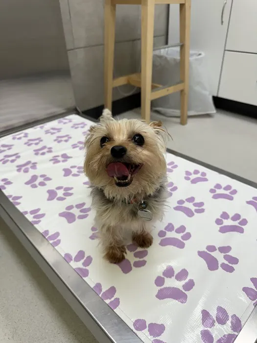 Oakton-Vienna Veterinary Hospital 2