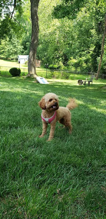 Oakton-Vienna Veterinary Hospital 7