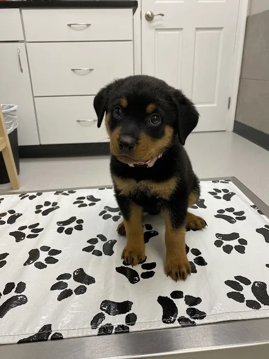 Oakton-Vienna Veterinary Hospital 8