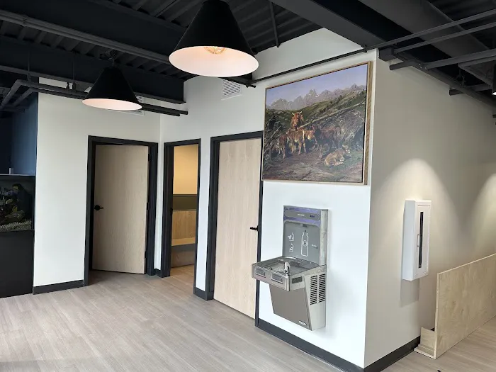 Tysons Corner Animal Hospital 6