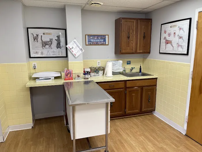 Tysons Corner Animal Hospital 8