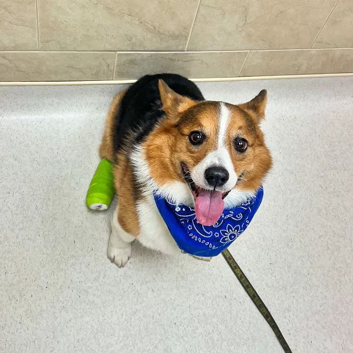Vienna Animal Hospital 12