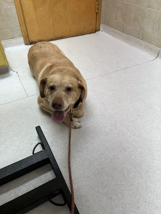 Vienna Animal Hospital 12