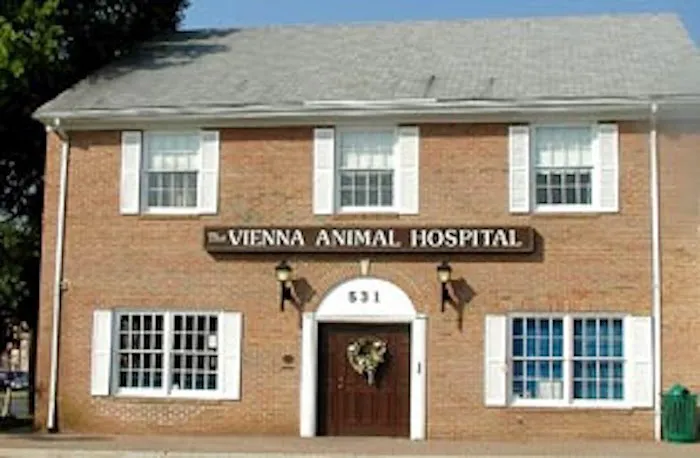 Vienna Animal Hospital 12