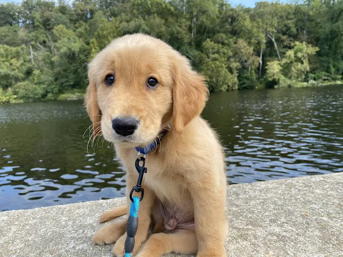 Falls Church Animal Hospital 4