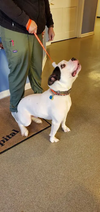 Falls Church Animal Hospital 3