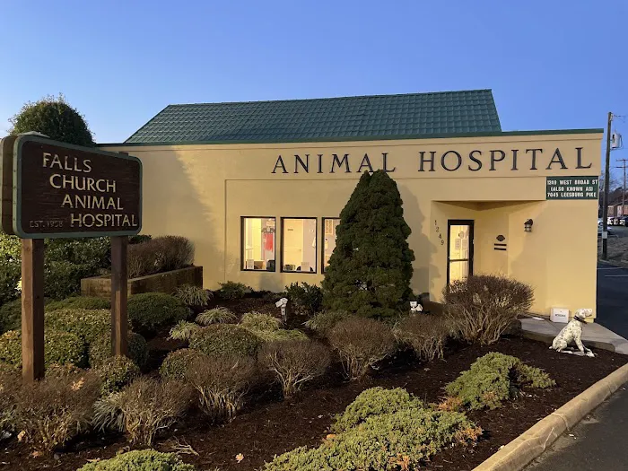 Falls Church Animal Hospital 7