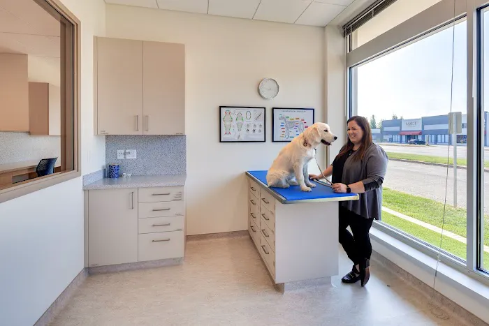 Mainstay Veterinary Practice 12